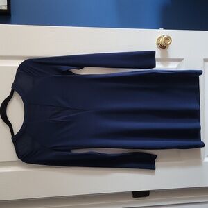 Express Long Sleeve Dress With Sheer Panels, Size S